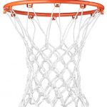 Professional On-Court Net
